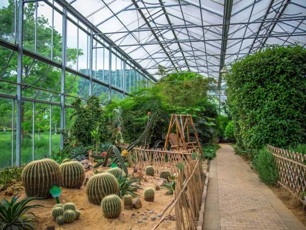 加州农业阳光生态园 | 灿烂的果实,铺满一地