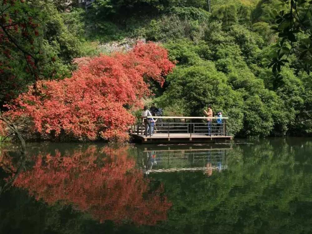 画板 27.jpg