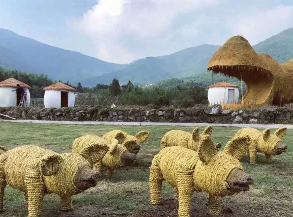 画板 1.jpg