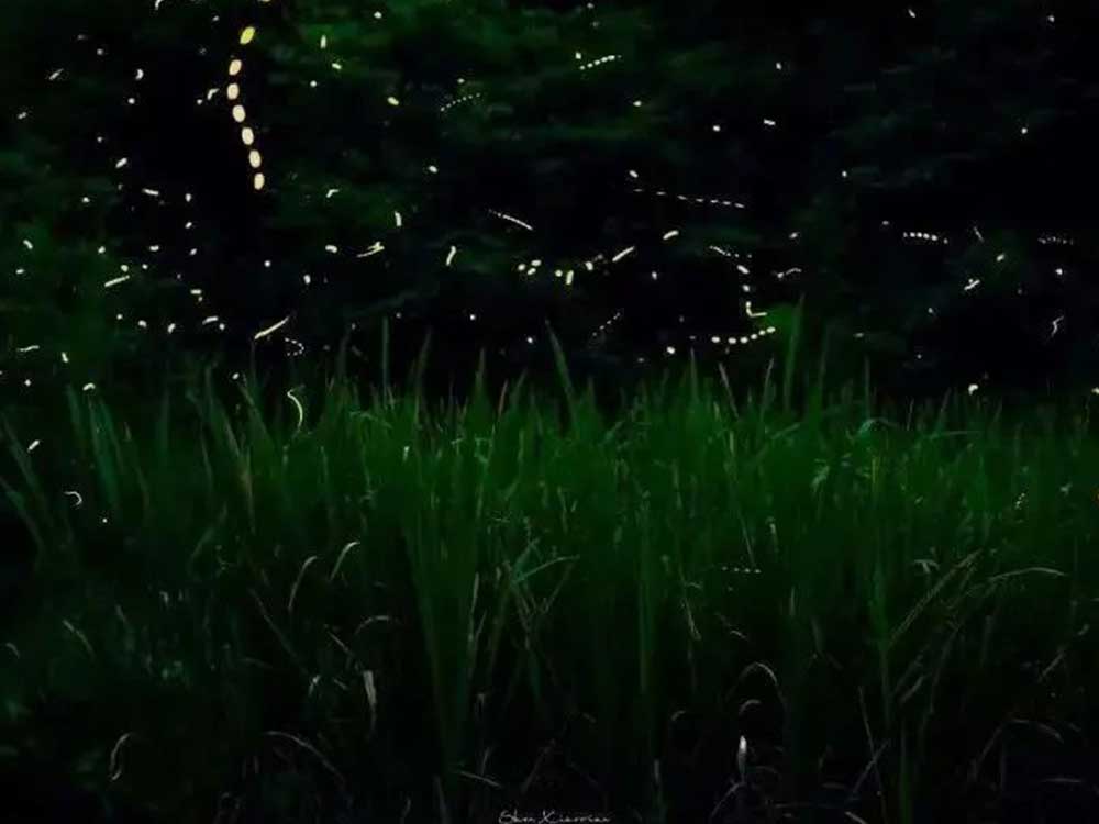 画板 1的副本.jpg