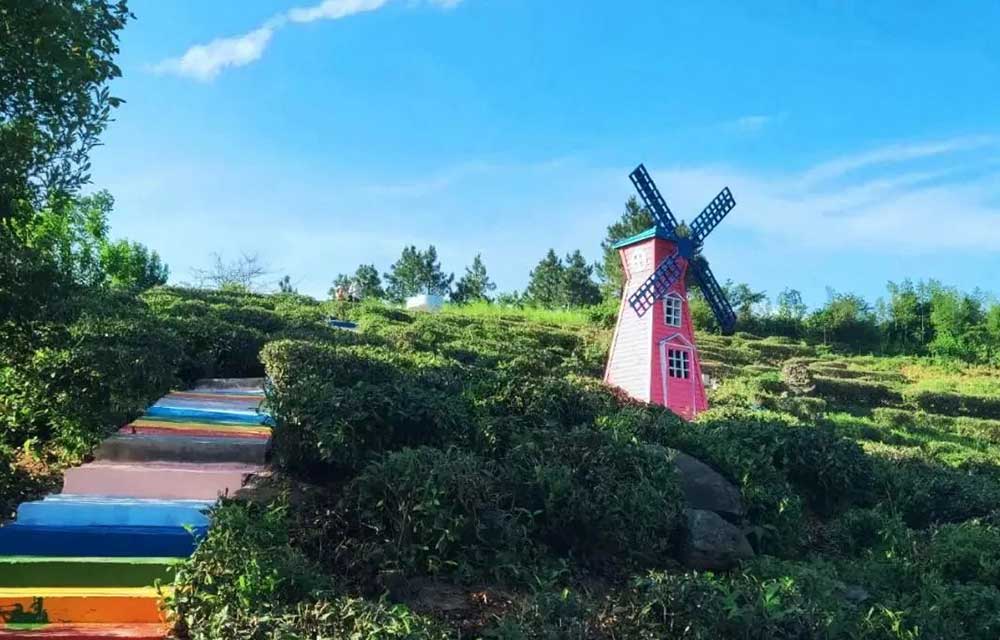 画板 8.jpg