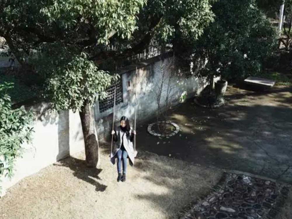 画板 8.jpg