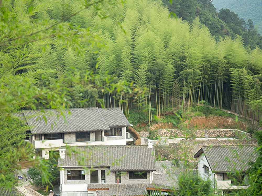 画板 4.jpg