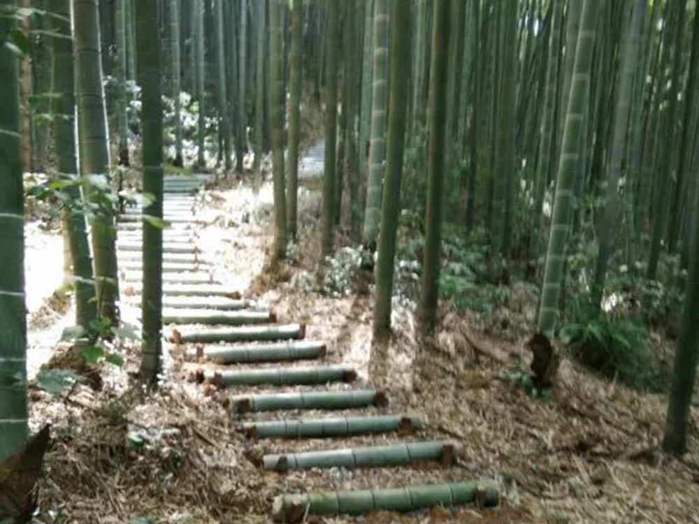 画板 5.jpg