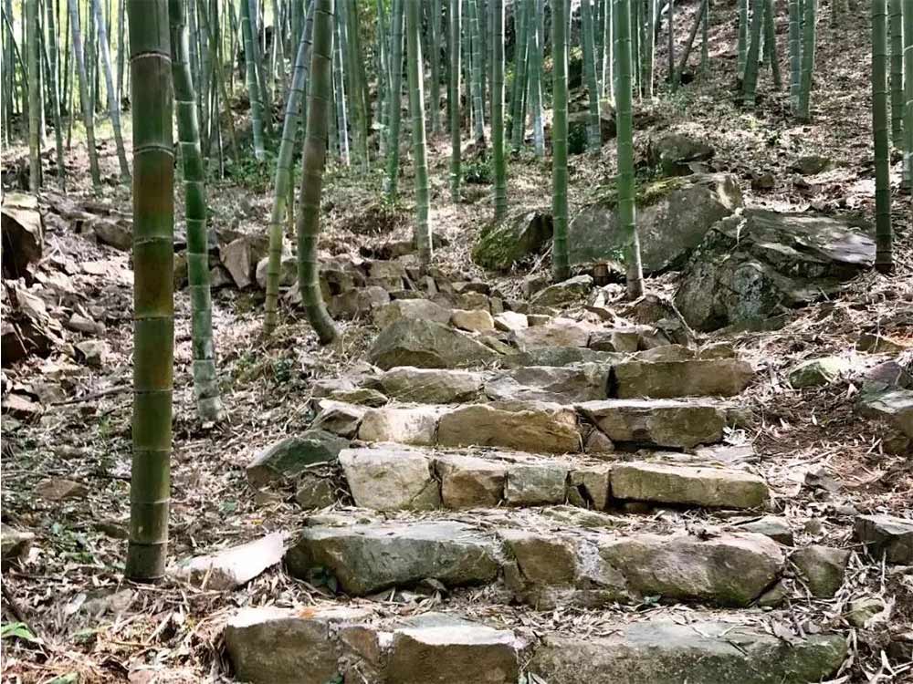 画板 11.jpg