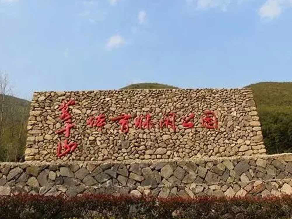 画板 8.jpg