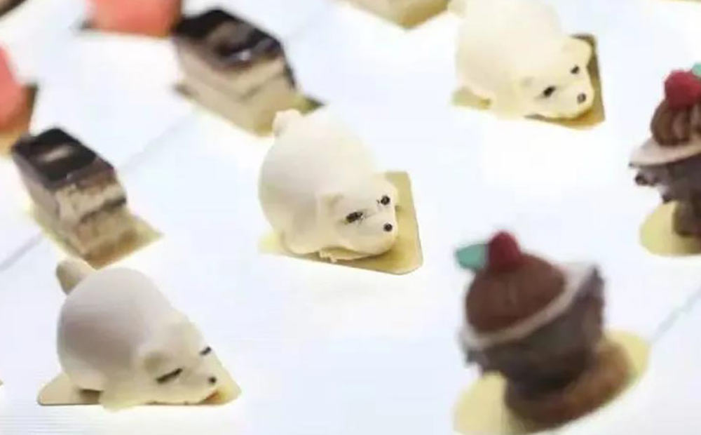 画板 7.jpg
