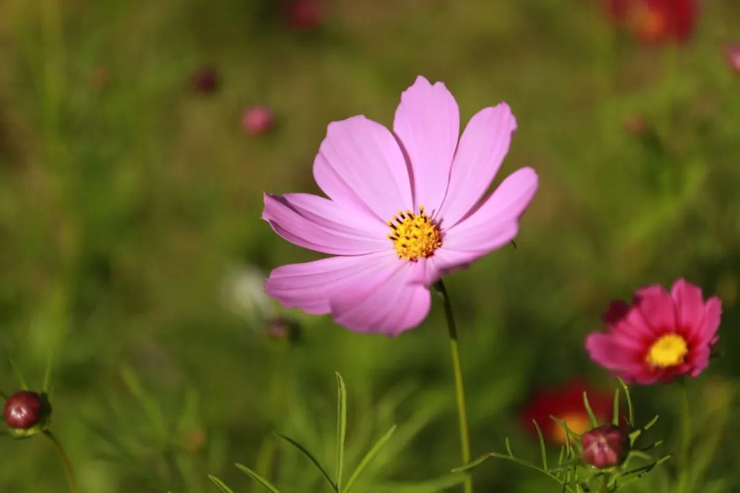 640.jpg