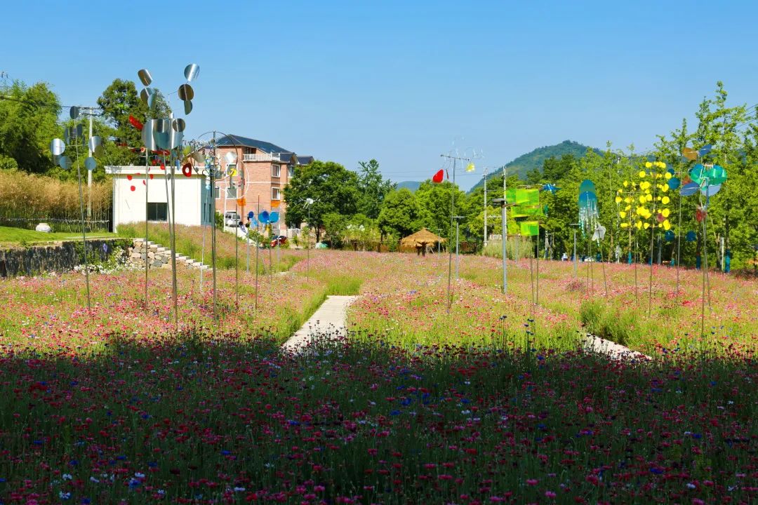 640.jpg