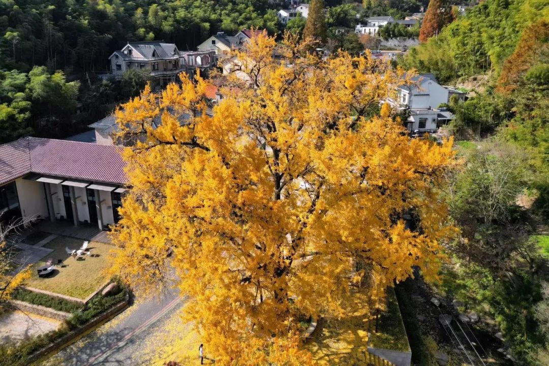 640.jpg