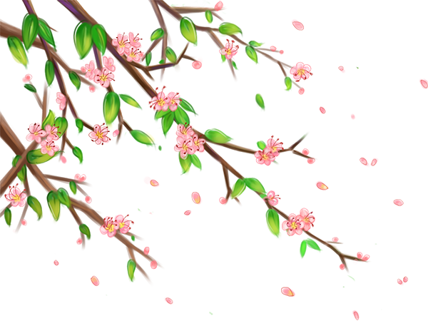 微信图片_20240422174809.png