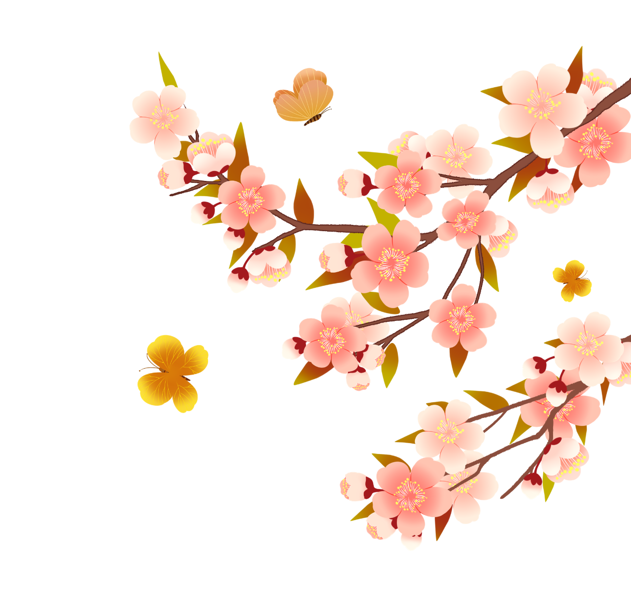 微信图片_20240422174843.png
